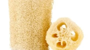 أطباء الجلدية يحذرون 5 منتجات في منزلك تدمر بشرتك بصمت. 1